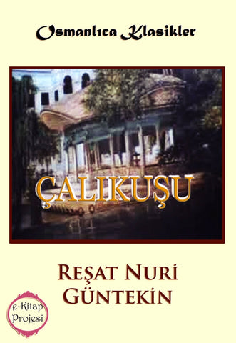 Çalı Kuşu