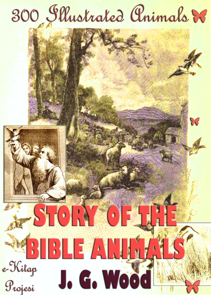 Story of the Bible Animals: 300 Illustrated Animals